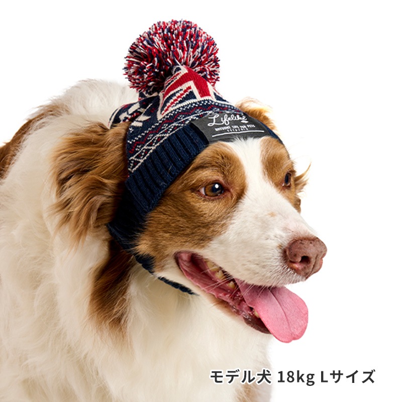 ナショナルフラッグニット帽 | Cap（キャップ・ハット・バンダナ