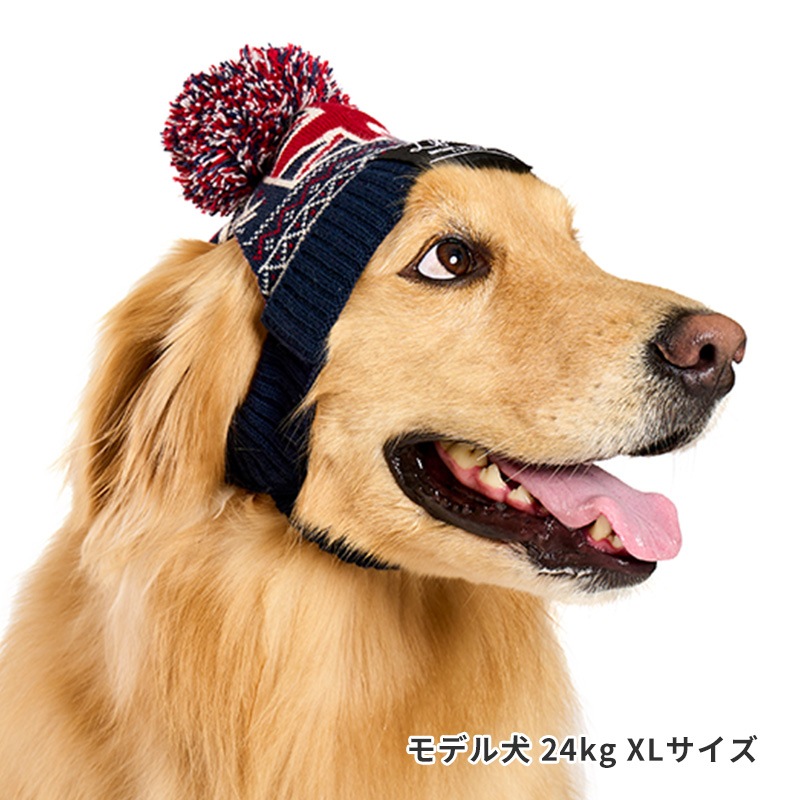 ナショナルフラッグニット帽