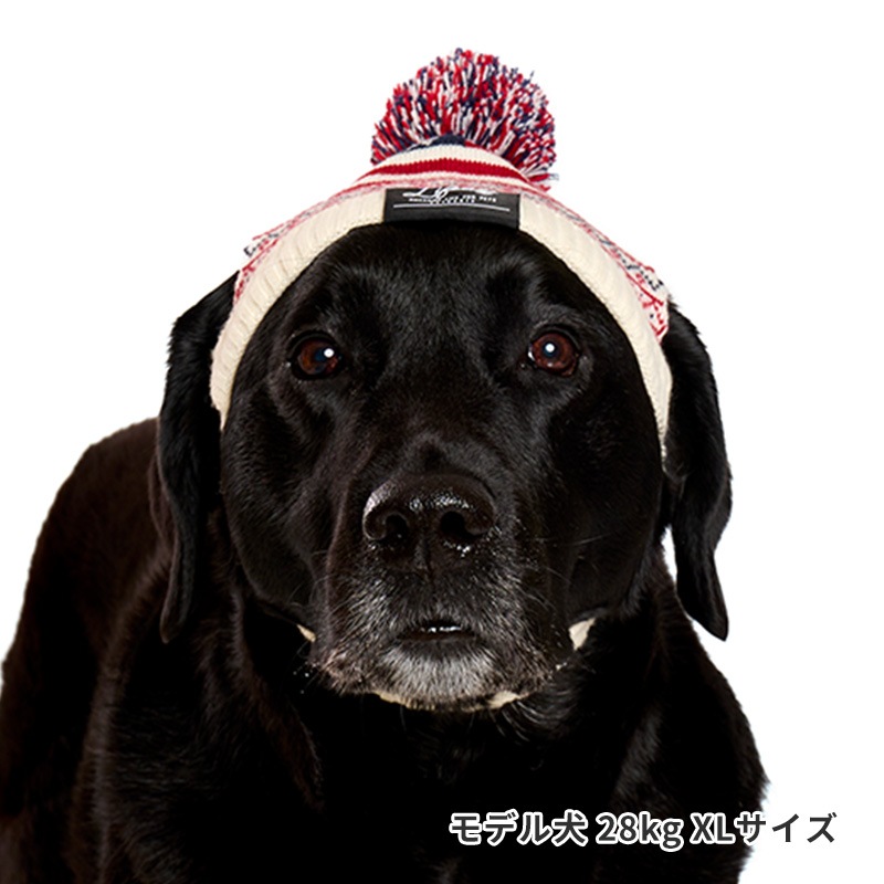 ナショナルフラッグニット帽