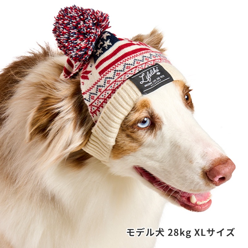 ナショナルフラッグニット帽 | Cap（キャップ・ハット・バンダナ