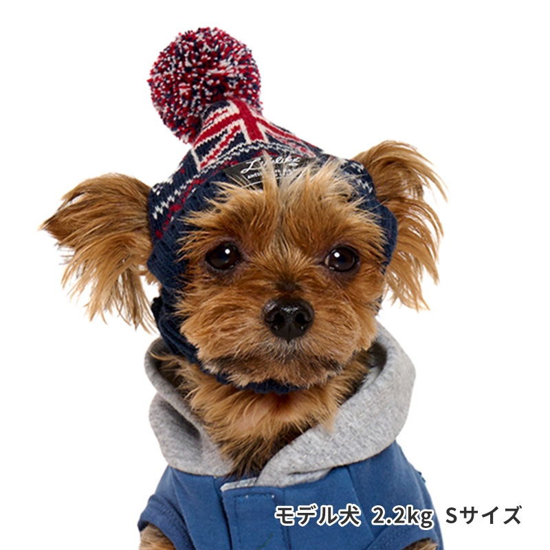 ナショナルフラッグニット帽 | Cap（キャップ・ハット・バンダナ