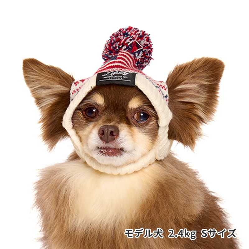 ナショナルフラッグニット帽