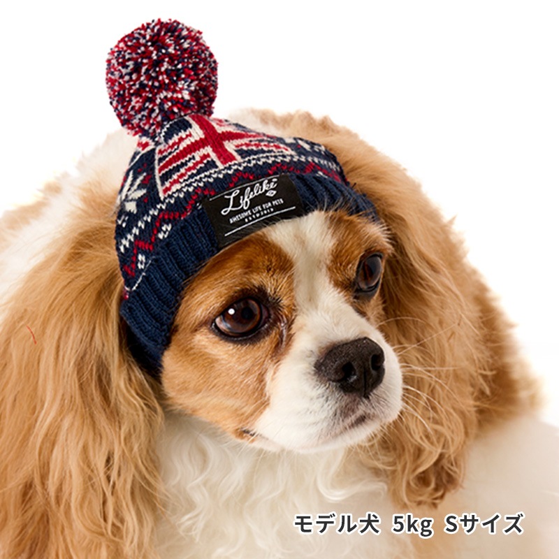 ナショナルフラッグニット帽