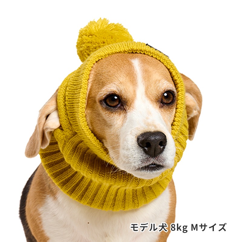 カラフルニットスヌード | Cap（キャップ・ハット・バンダナ類