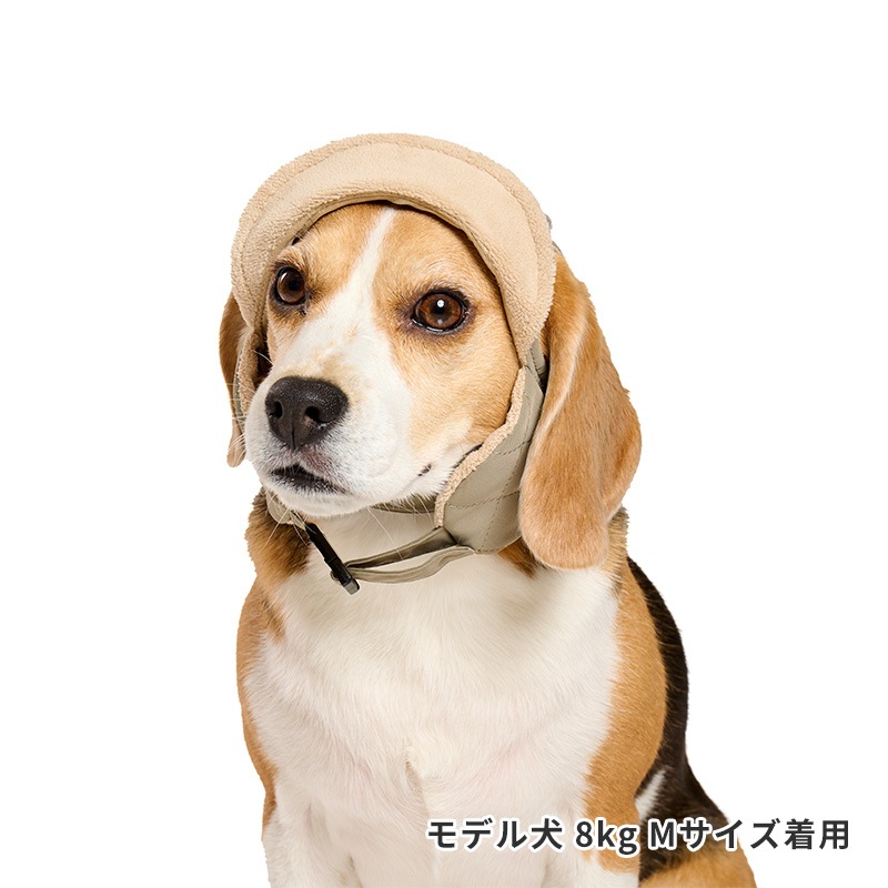 アビエイターキャップ