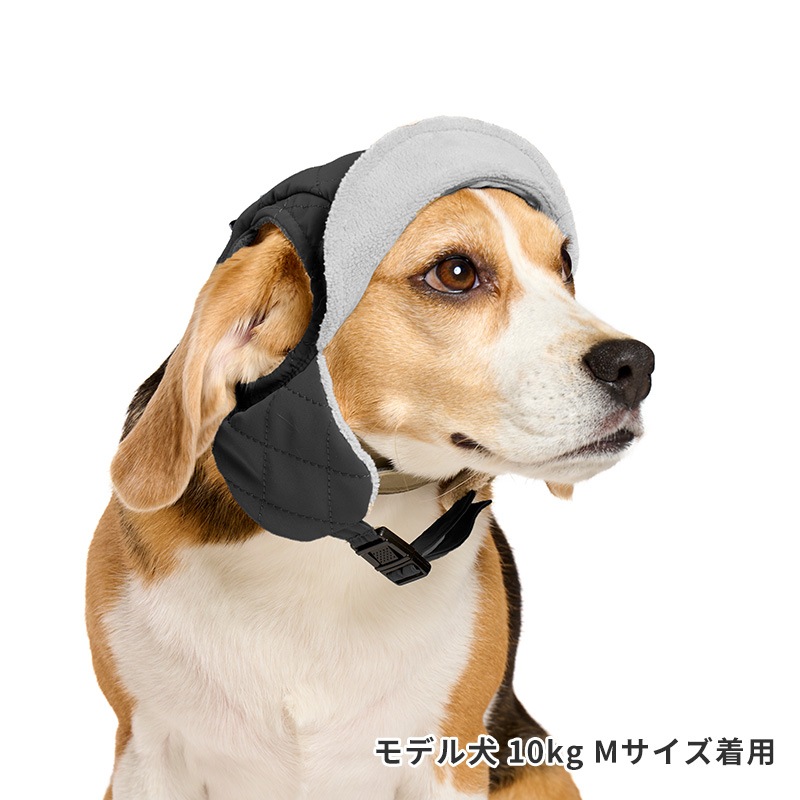 アビエイターキャップ | Cap（キャップ・ハット・バンダナ類） | LIFE