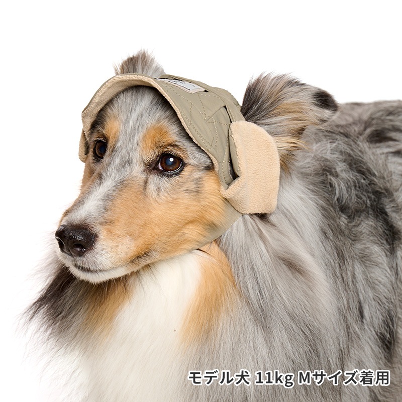 アビエイターキャップ | Cap（キャップ・ハット・バンダナ類） | LIFE