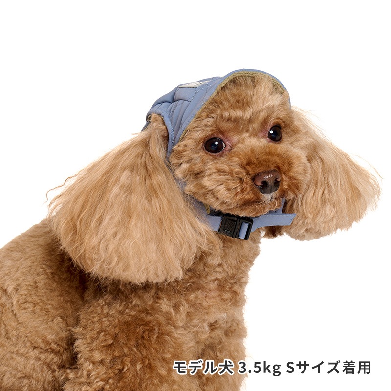 アビエイターキャップ