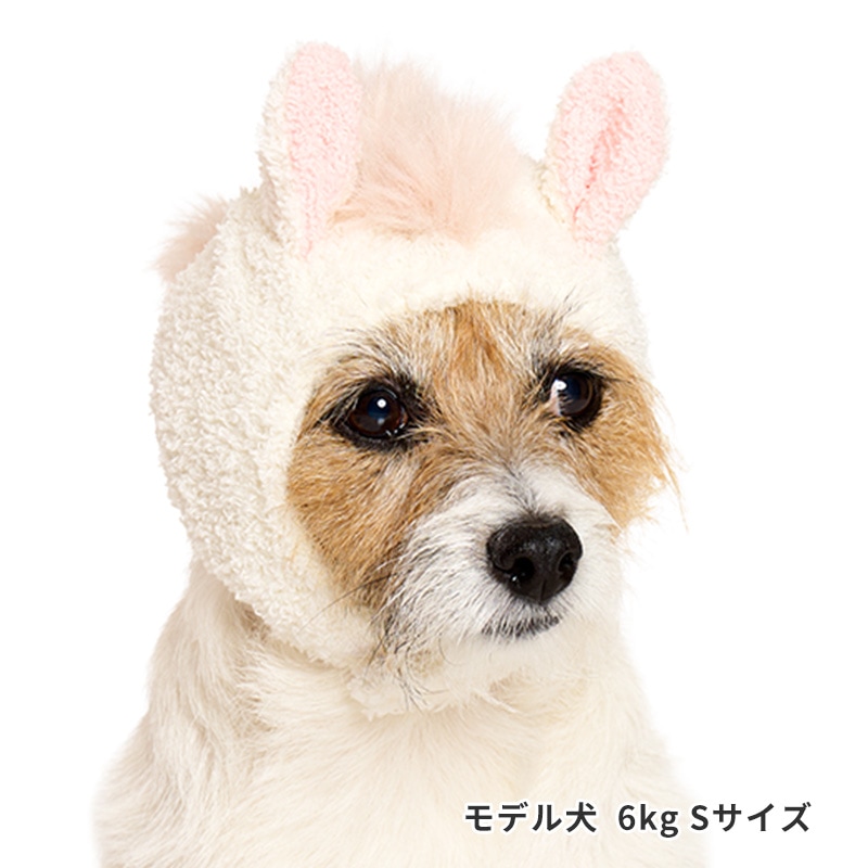 うまもこキャップ | Event（イベントグッズ） | LIFE LIKE 【犬服