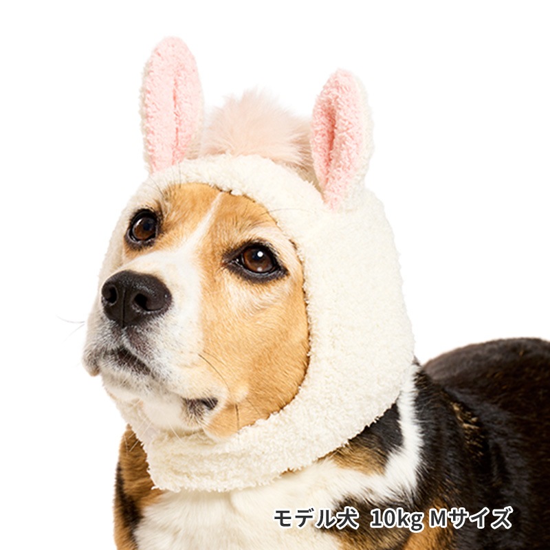 うまもこキャップ | Event（イベントグッズ） | LIFE LIKE 【犬服