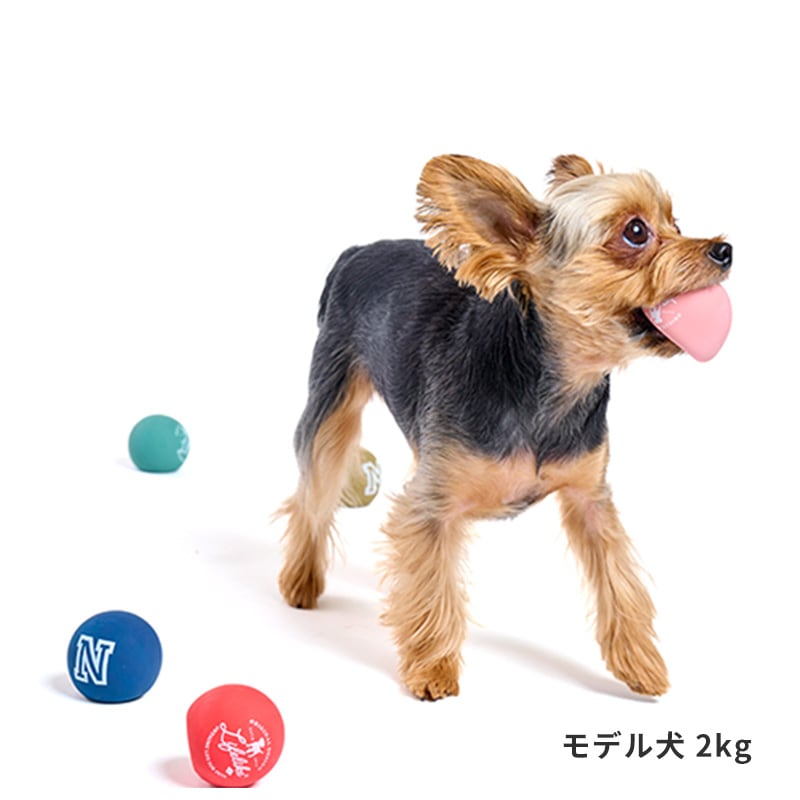 やさしい麦茶様 【ラギーフルセット＋ジャックフルセット】1月中 ラテックスカラーボール | Toys（おもちゃ） | LIFE LIKE 【犬服グッズ