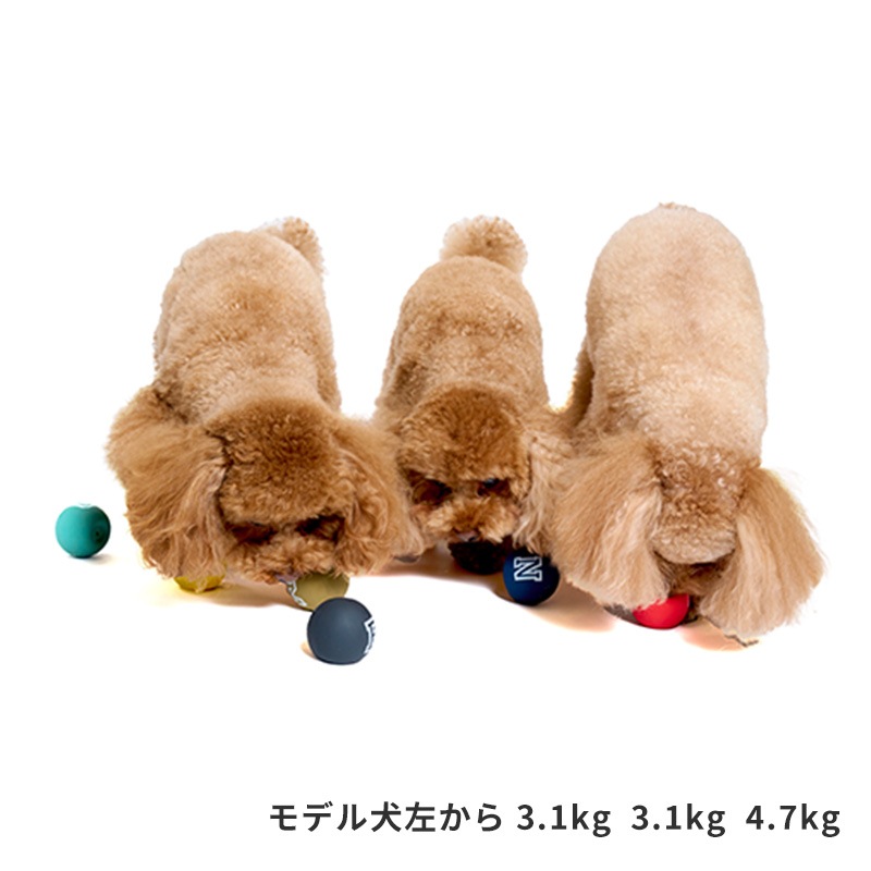 ラテックスカラーボール | Toys（おもちゃ） | LIFE LIKE 【犬服グッズ