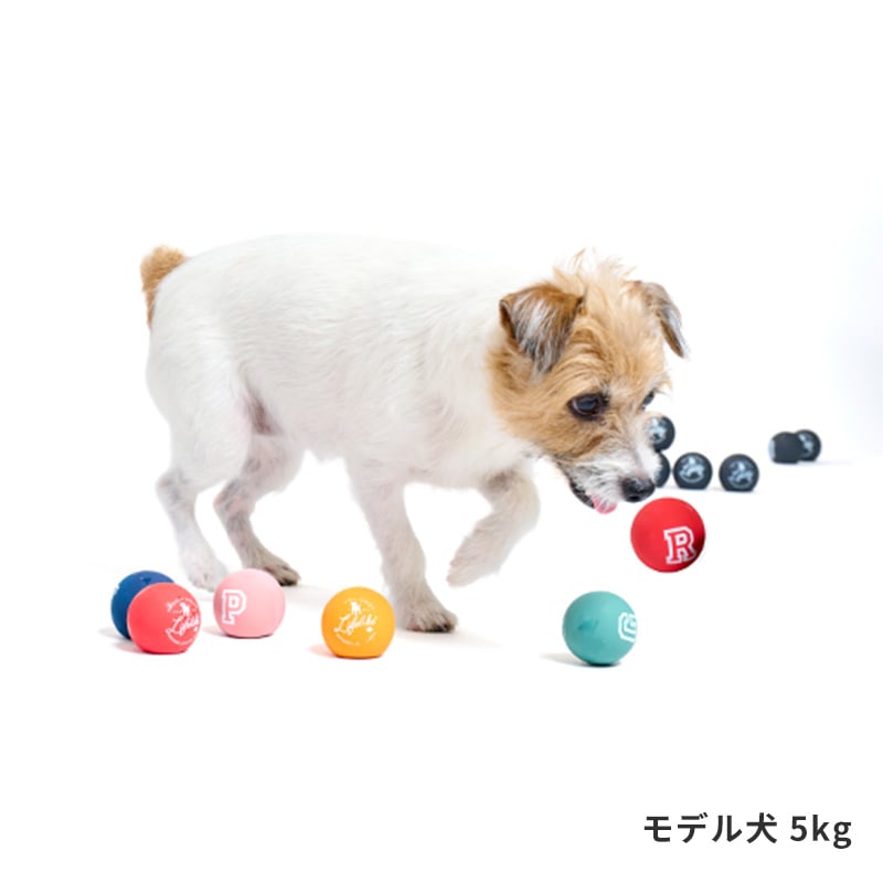 ラテックスカラーボール | Toys（おもちゃ） | LIFE LIKE 【犬服グッズ