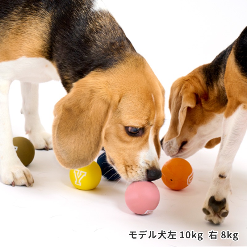 ラテックスカラーボール | Toys（おもちゃ） | LIFE LIKE 【犬服グッズ