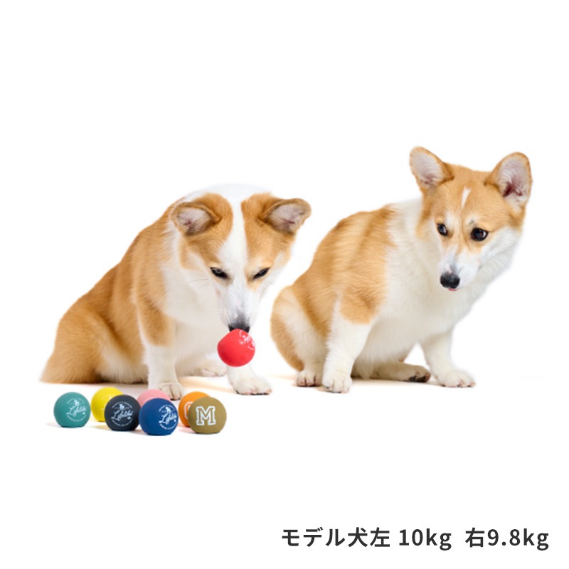 ラテックスカラーボール