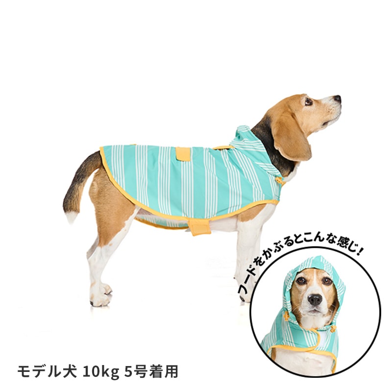 パッカブルレインポンチョ