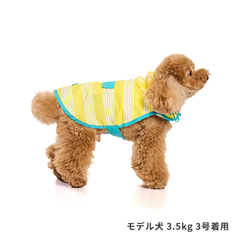 パッカブルレインポンチョ