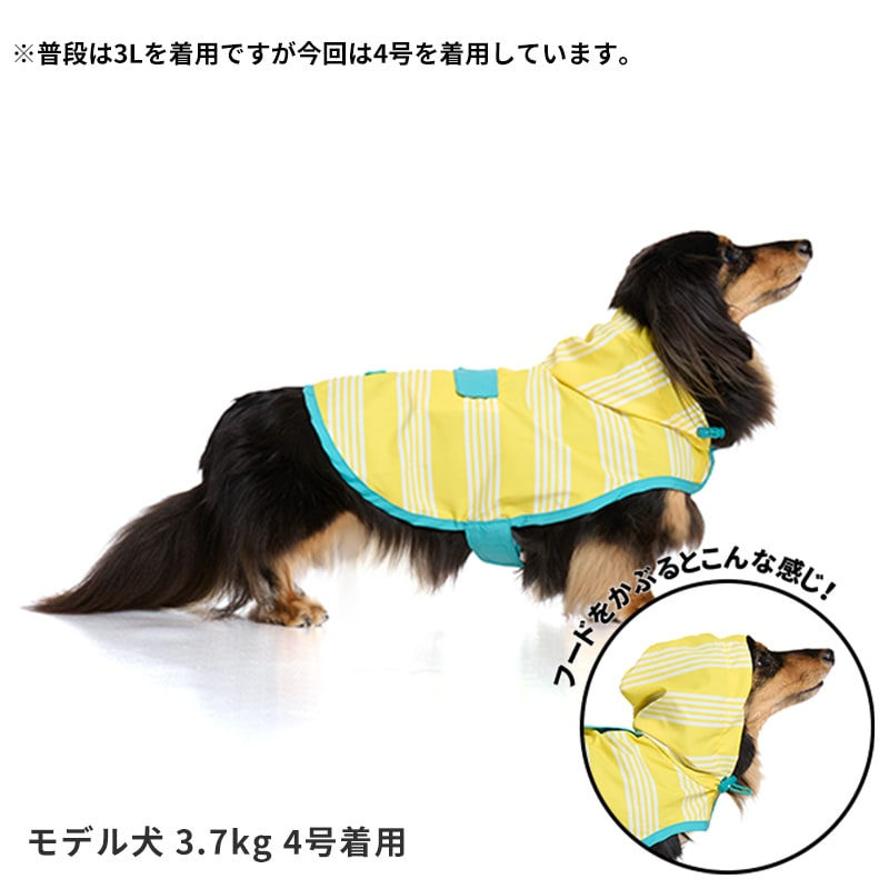 パッカブルレインポンチョ