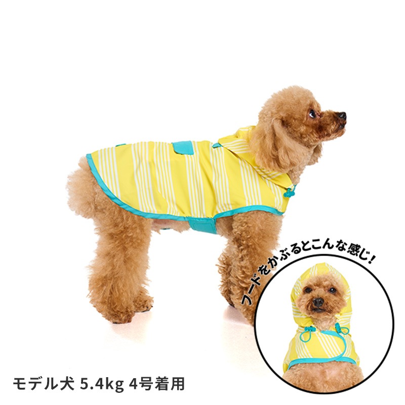 パッカブルレインポンチョ