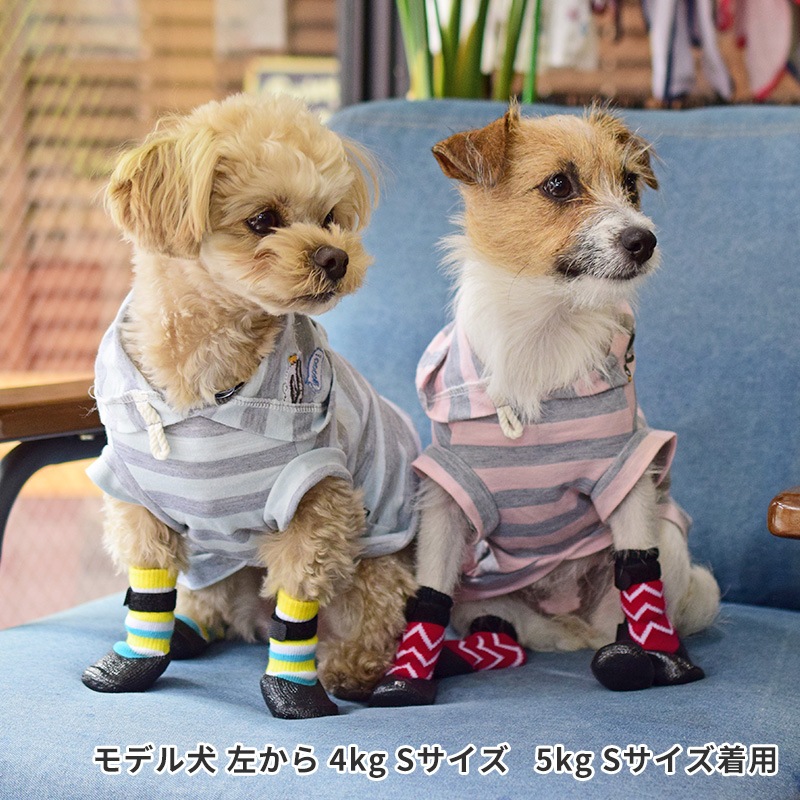トリコロールラバーソックス | Others（その他）,ソックス