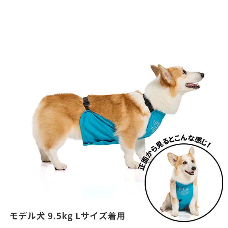 アウトドアマッドガード