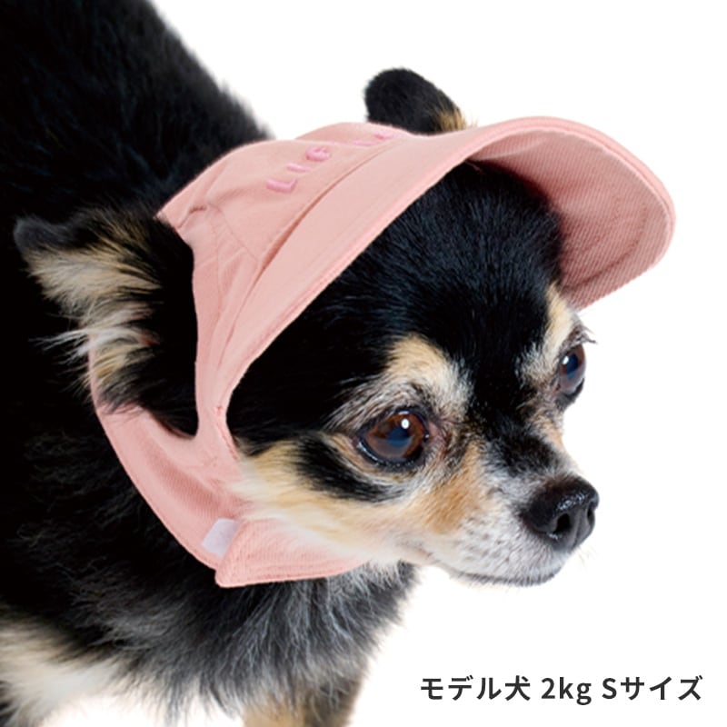 麦わら帽子Ꮮお好みカラー✗ホワイト犬・猫 プルメリア装飾❁handmade