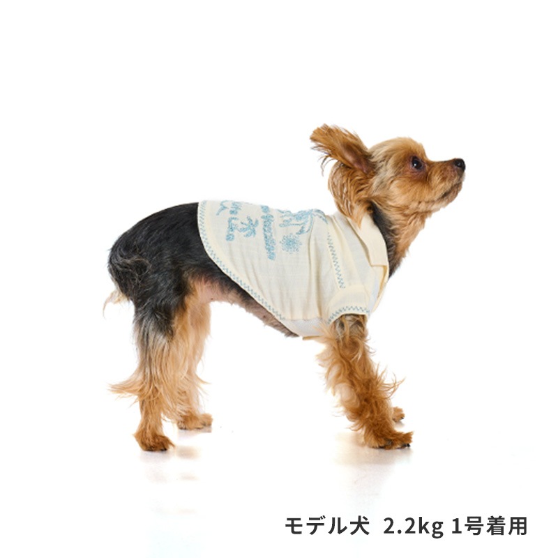 ステッチアロハシャツ