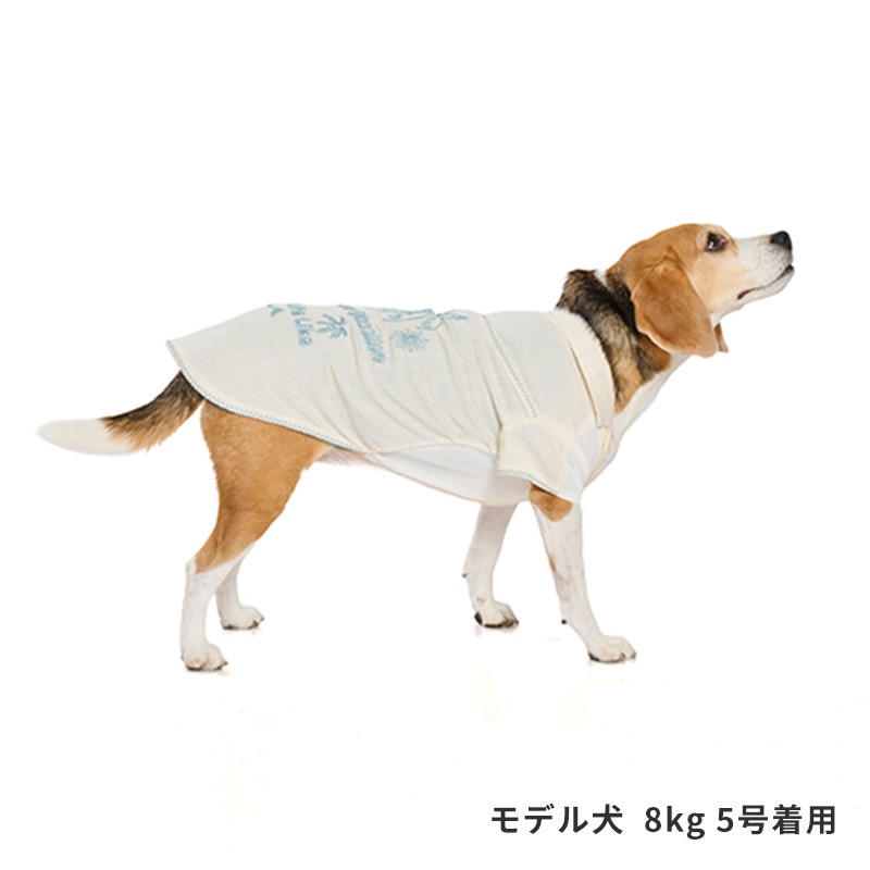 ステッチアロハシャツ