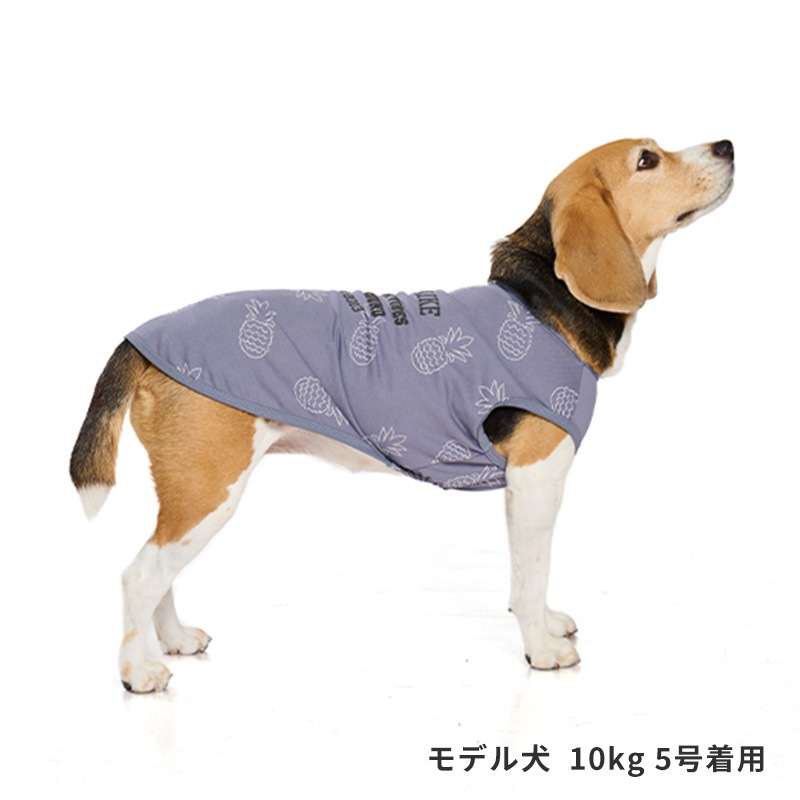 サマーステッチプリントタンク