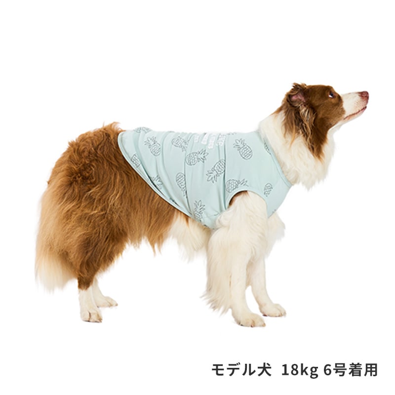 サマーステッチプリントタンク