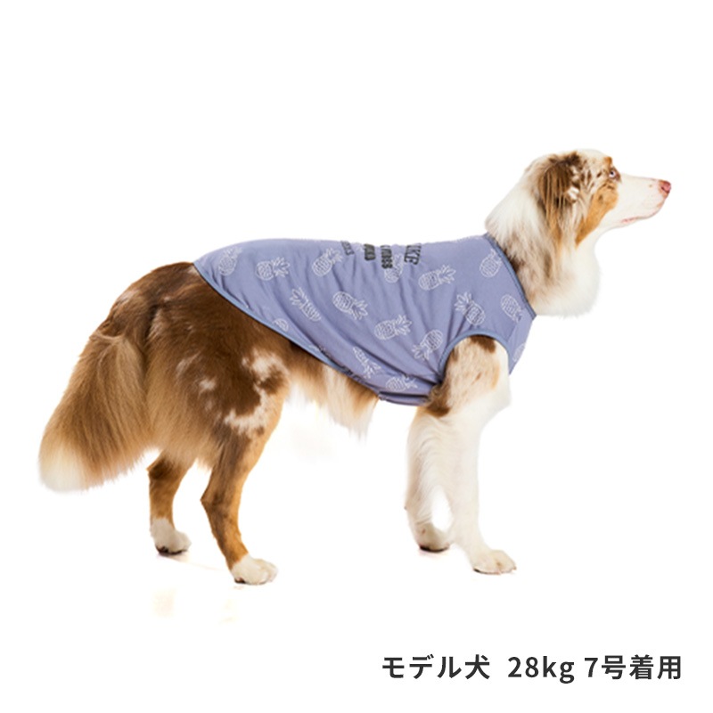 サマーステッチプリントタンク