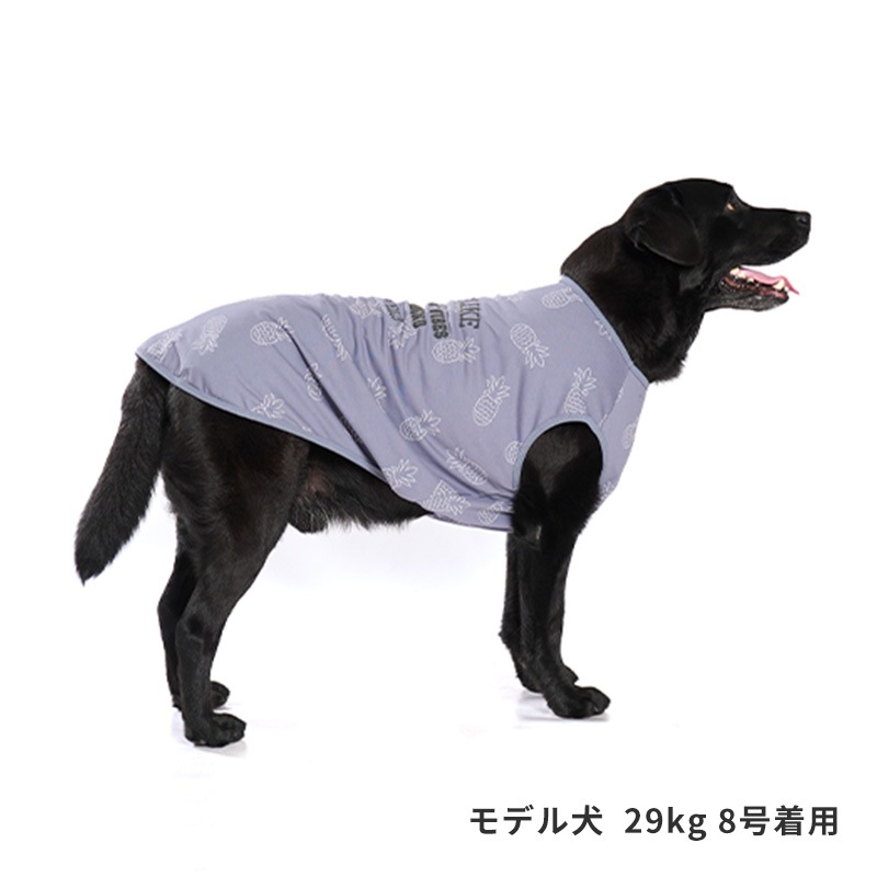 サマーステッチプリントタンク