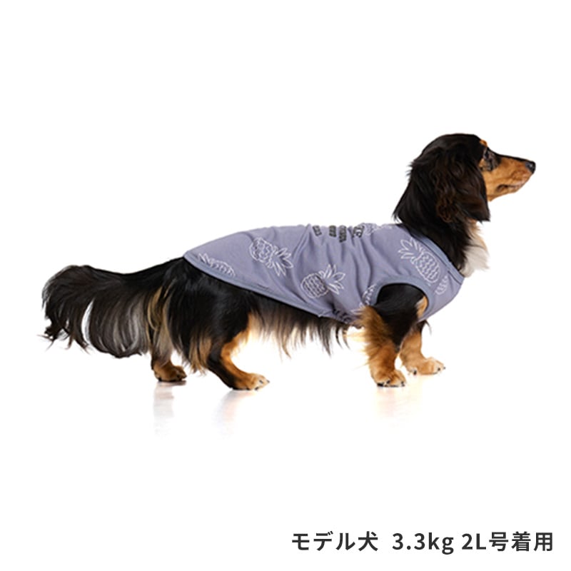 サマーステッチプリントタンク