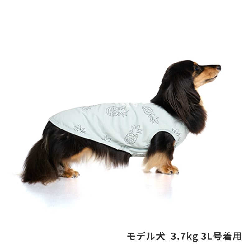 サマーステッチプリントタンク