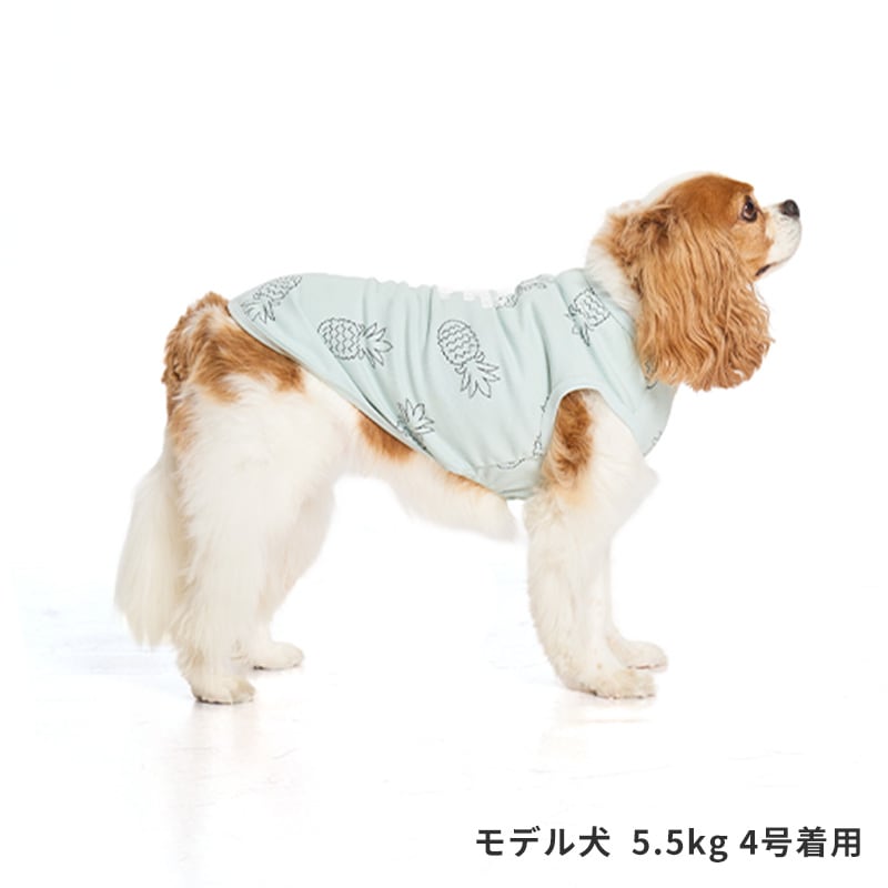 サマーステッチプリントタンク