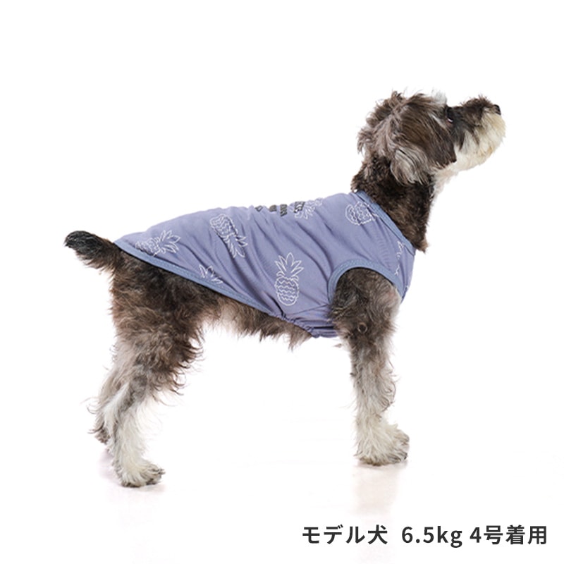 サマーステッチプリントタンク