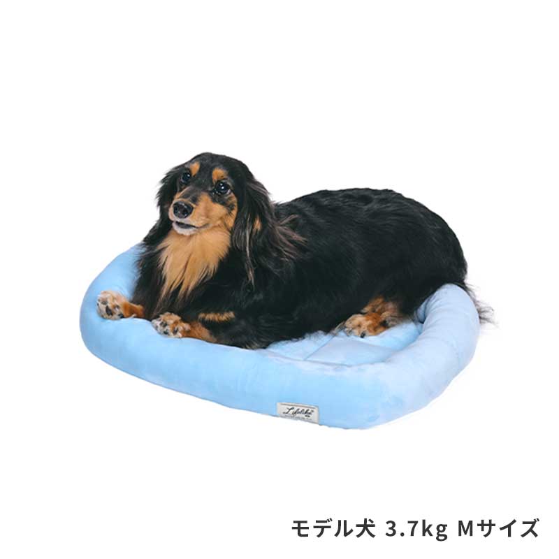 ソフトウレタンベッド