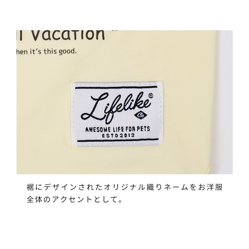 サマーコミックイラストタンク