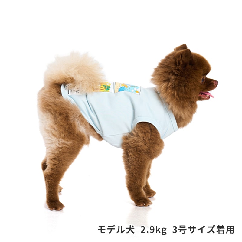 サマーコミックイラストタンク