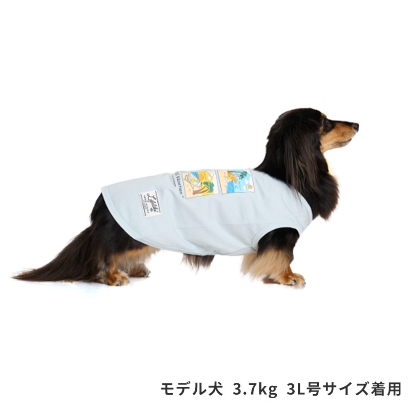 サマーコミックイラストタンク