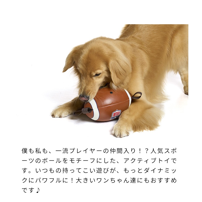 イージーPLAYスポーツボール