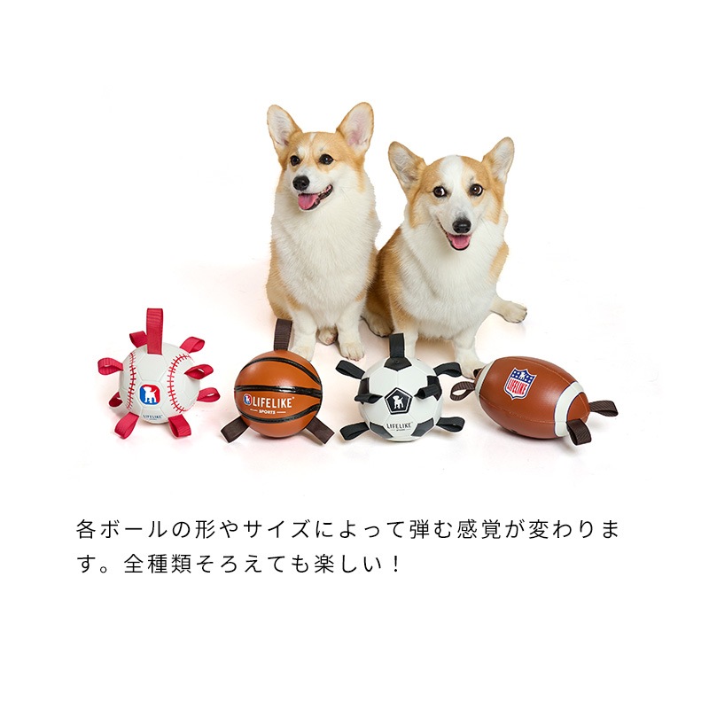 イージーPLAYスポーツボール