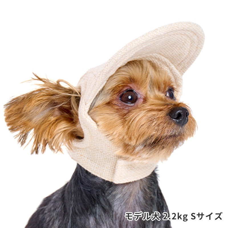 麦わら帽子Ꮇお好みカラー✗ホワイト犬・猫 プルメリア装飾❁handmade