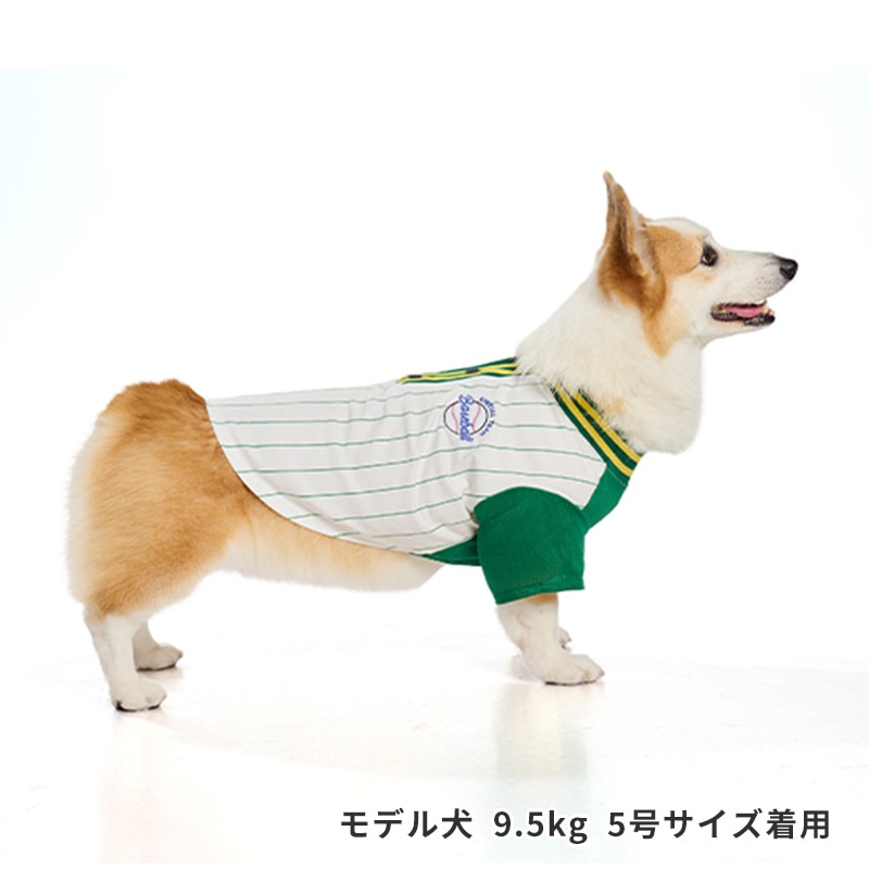 ベースボールシャツ