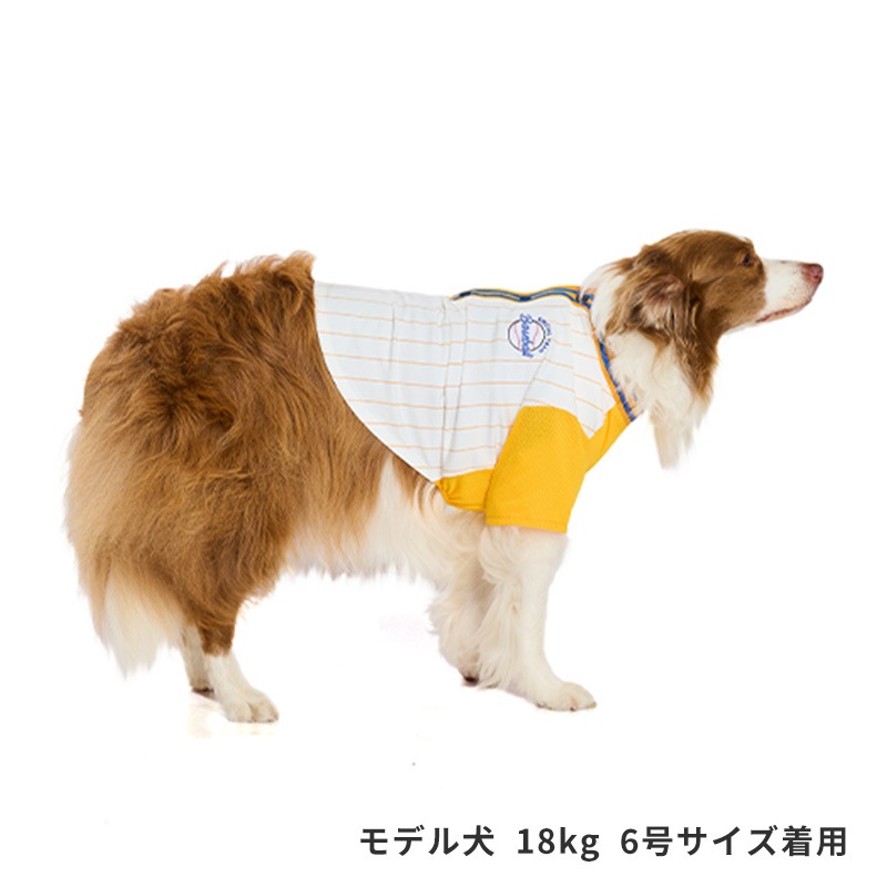 ベースボールシャツ