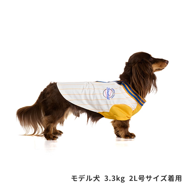 ベースボールシャツ