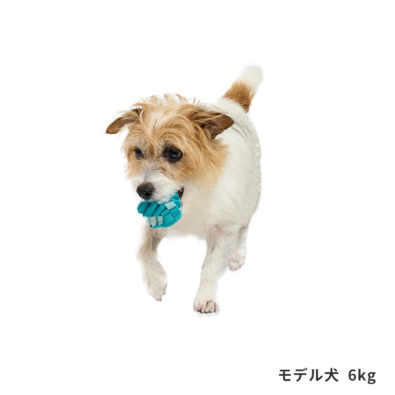 タフテープボール