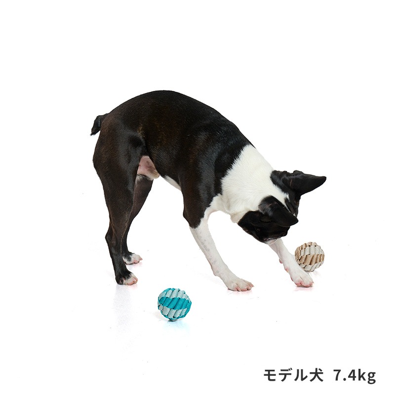 タフテープボール