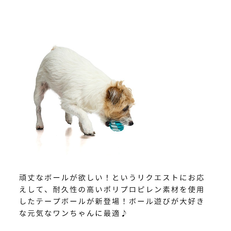タフテープボール