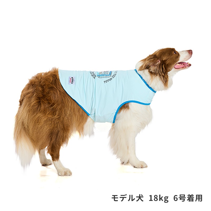 スポーツシロクマタンク